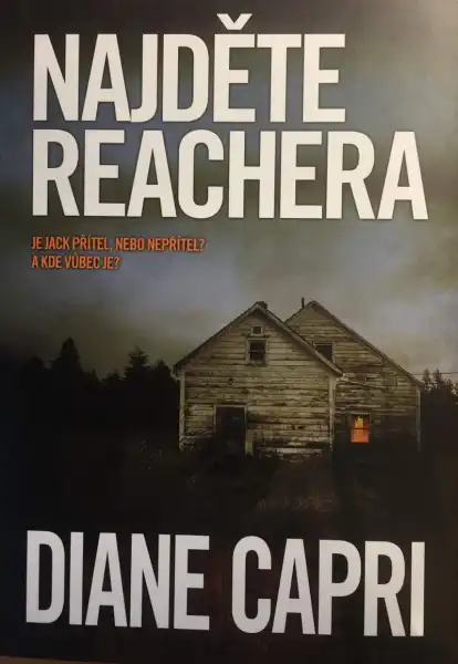 Najděte Reachera - Diane Capri /bazarové zboží/