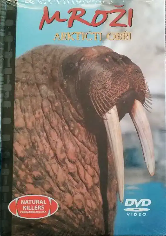 Mroži - Arktičtí obři - DVD + brožura /bazarové zboží/