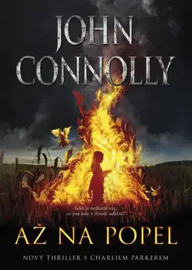 Až na popel - John Connolly /bazarové zboží/