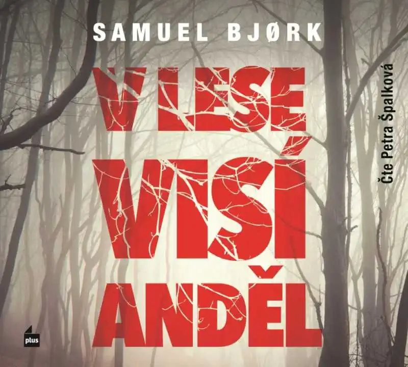V lese visí anděl - Samuel Bjork - 2xCD Audiokniha
