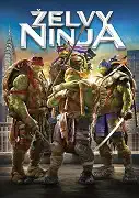 Želvy Ninja - DVD plast