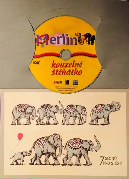 Merlin kouzelné štěňátko - DVD /dárkový obal/