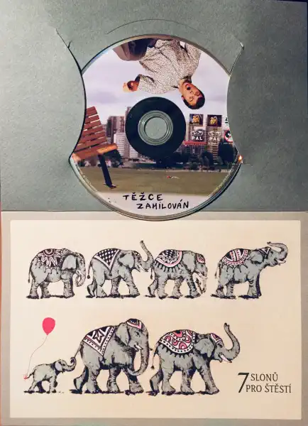 Těžce zamilován - DVD /dárkový obal/