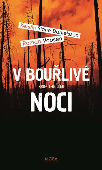 V bouřlivé noci - Roman Voosen, Kerstin S. Danielsson ( bazarové zboží )