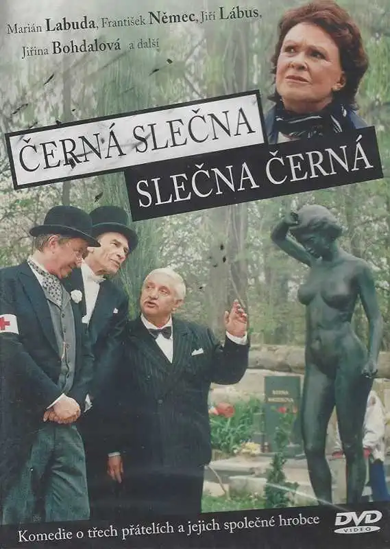 Černá slečna Slečna Černá - DVD /plast/