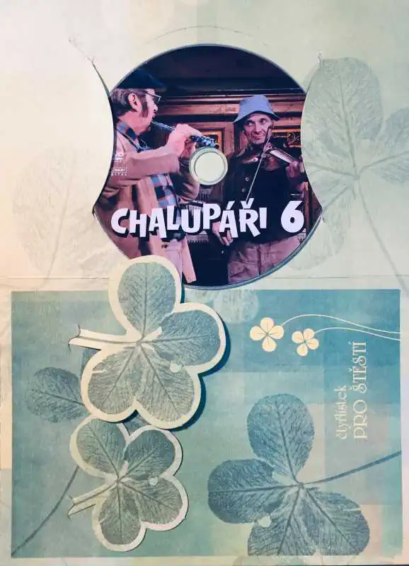 Chalupáři 6 - DVD /dárkový obal/