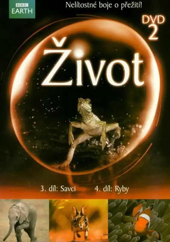 Život 2 - DVD /digipack/