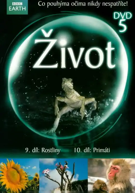 Život 5 - DVD /digipack/