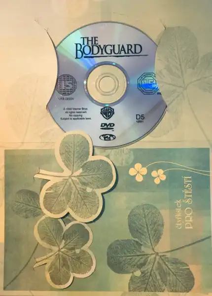 The Bodyguard - DVD /dárkový obal/
