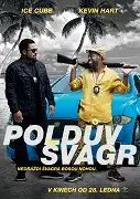 Poldův švagr - DVD plast