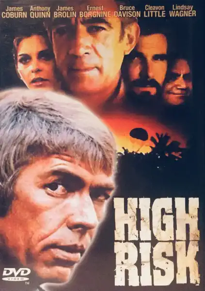 High Risk - DVD /plast/