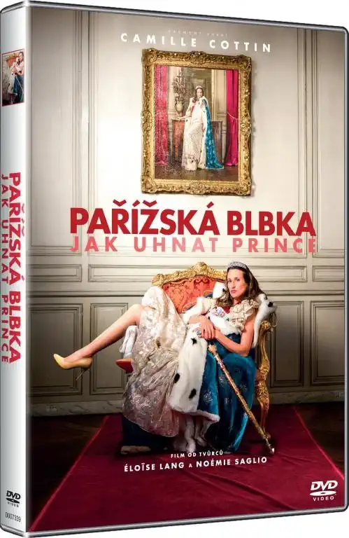 Pařížská blbka ( plast ) DVD