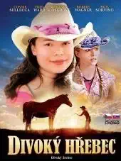 Divoký hřebec - DVD /pošetka/bazarové zboží/