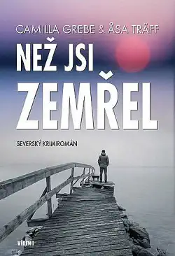 Než jsi zemřel - Camilla Grebe ( bazarové zboží )