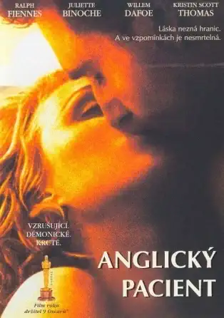Anglický pacient - DVD /plast/bazarové zboží/