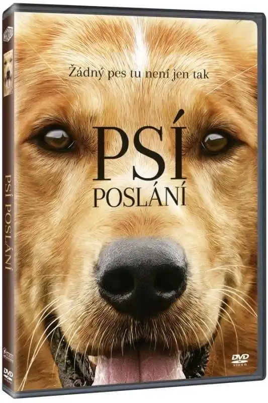 Psí poslání - DVD /plast/