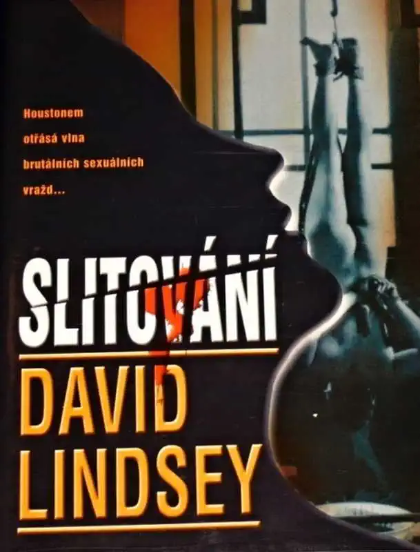 Slitování - David Lindsey