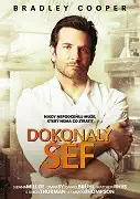 Dokonalý šéf DVD plast (bazarové zboží)