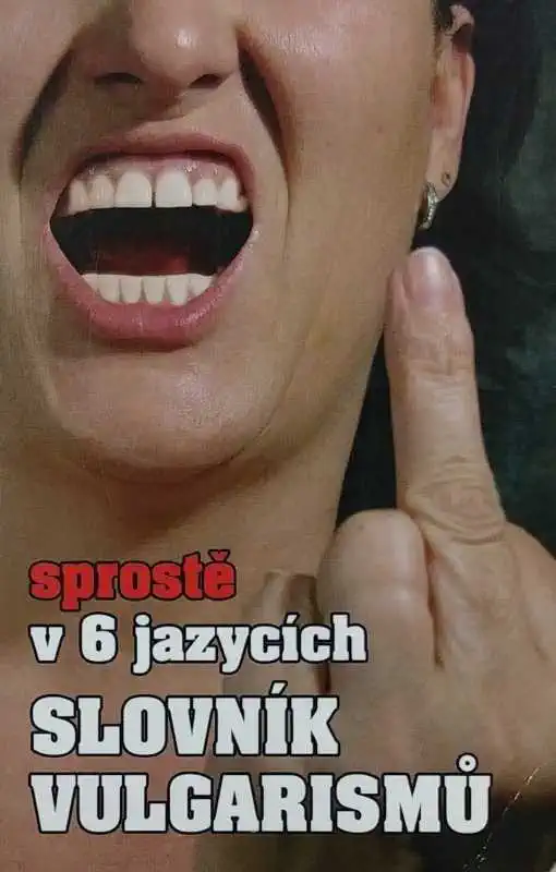 Sprostě v 6 jazycích - Slovník vulgarismů - Kryštof Bajger a kolektiv