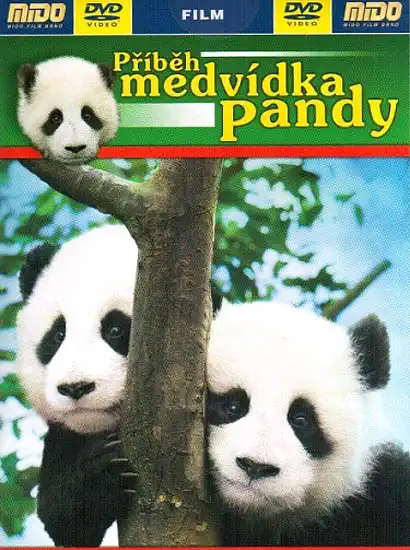 Příběh medvídka pandy - DVD