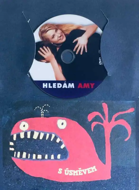 Hledám Amy - DVD /dárkový obal/