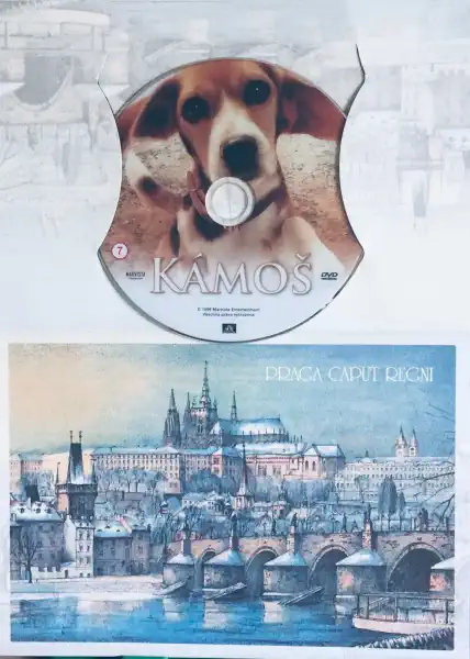 Kámoš - DVD /dárkový obal/