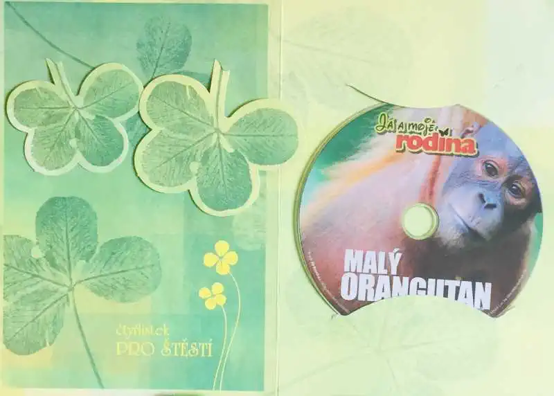 Já a moje rodina - Malý orangutan - DVD /dárkový obal/