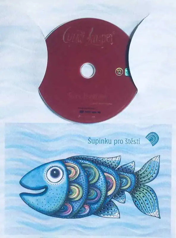 Cyndi Lauper - Twelve Deadly Cyns - DVD /dárkový obal/