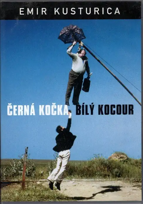 Černá kočka, bílý kocour - v originálním znění s CZ titulky - DVD /pošetka/