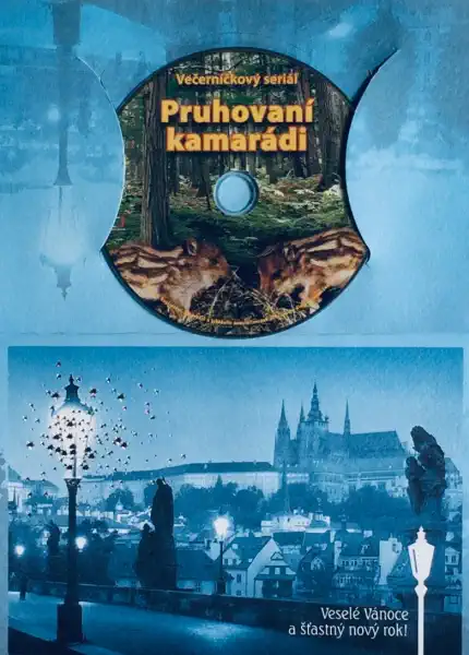 Pruhovaní kamarádi - DVD /dárkový obal/