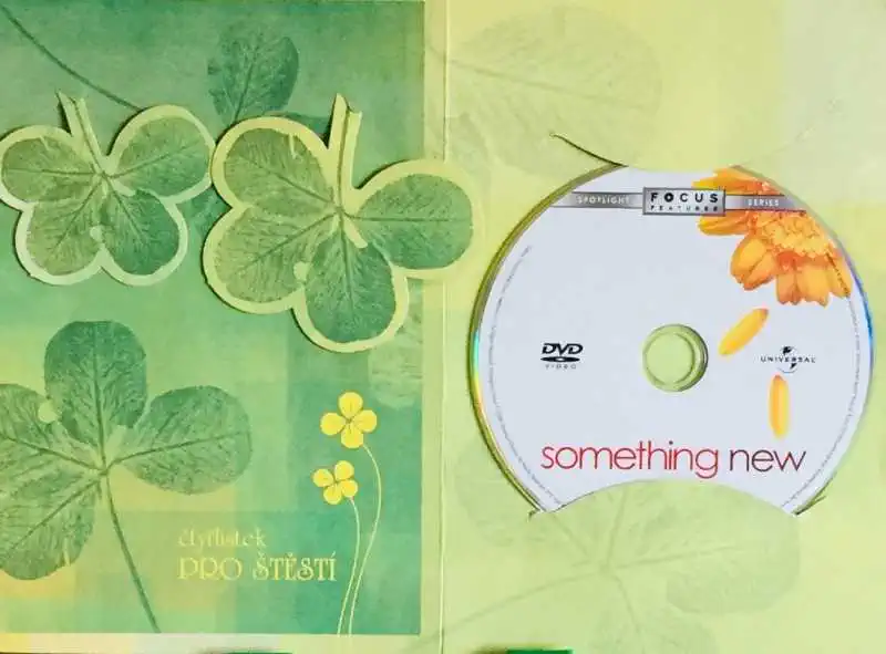 Something New / Něco nového - DVD /dárkový obal/