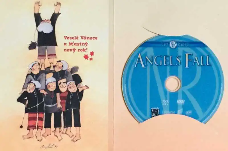 Angels Fall / Pád anděla - DVD /dárkový obal/