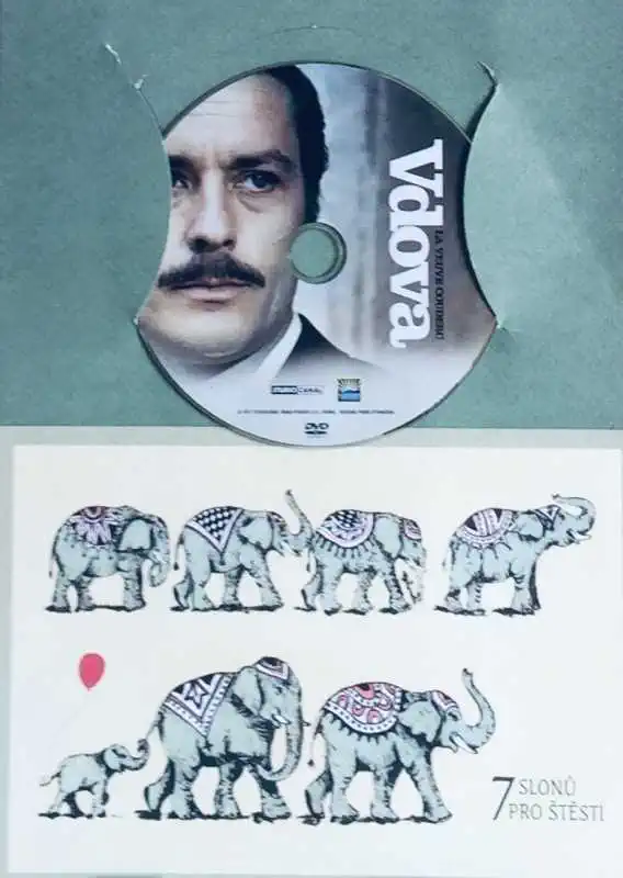 Vdova - DVD /dárkový obal/