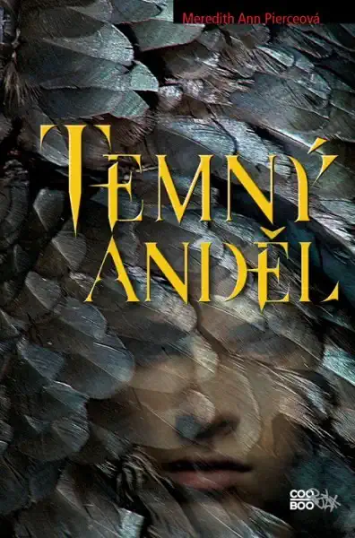 Temný Anděl - Meredith Ann Pierceová /bazarové zboží/