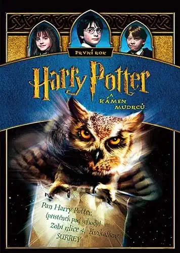 Harry Potter a Kámen mudrců - DVD /plast/