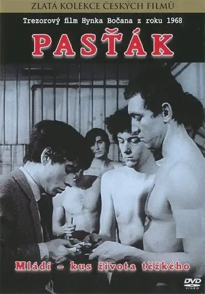 Pasťák - Zlatá kolekce českých filmů - DVD /plast/