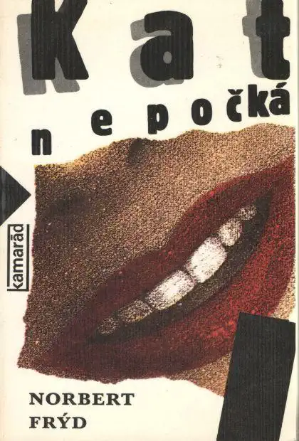 Kat nepočká - Norbert Frýd /bazarové zboží/