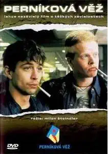 Perníková věž - DVD /plast/