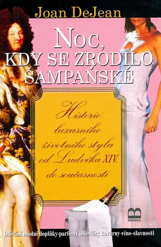 Noc, kdy se zrodilo šampaňské - Joan DeJean /bazarové zboží/