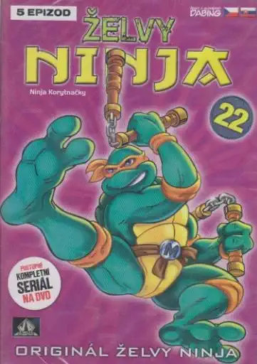Želvy ninja 22 - VAPET - DVD plast bazarové