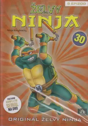 Želvy ninja 30 - VAPET - DVD