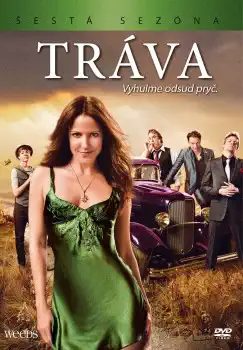 Tráva - 6. série - DVD