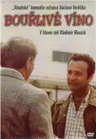 Bouřlivé víno DVD pošetka