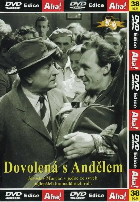 Dovolená s andělem - DVD