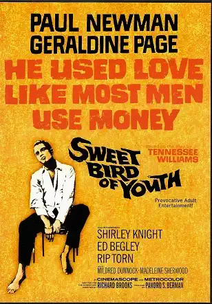 Sweet Bird of Youth / Sladký pták mládí ( originální znění, BEZ CZ titulků ) plast DVD