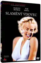 Slaměný vdovec - DVD plast