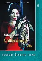 Až přijde kocour - papírová pošetka