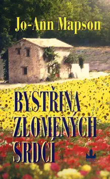 Bystřina zlomených srdcí - Jo-Ann Mapson