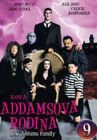 Nová Addamsova rodina 9 - DVD