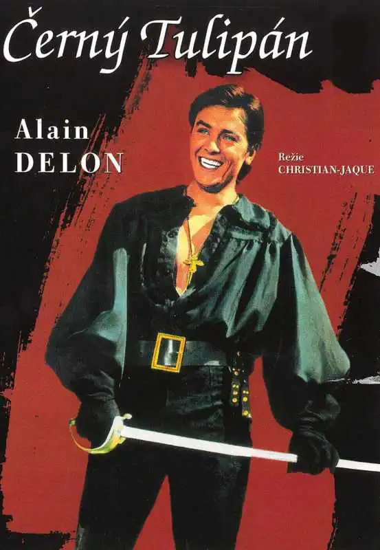 Černý tulipán - DVD digipack /bazarové zboží/